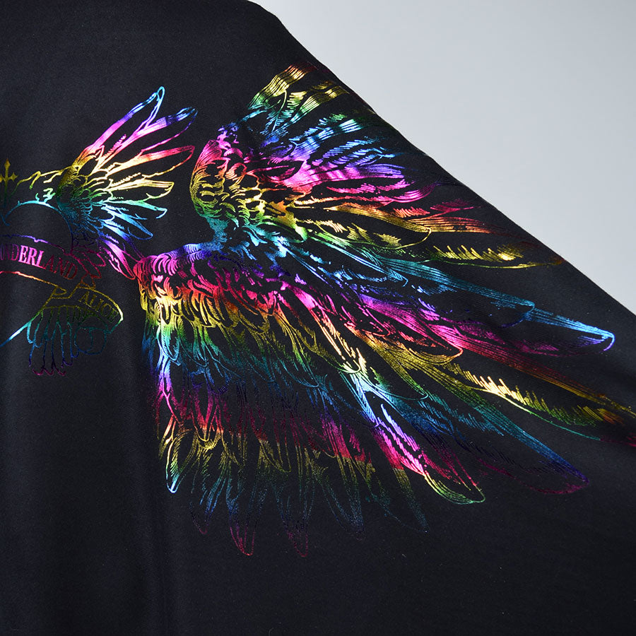 Angel Wings Rainbow Stole