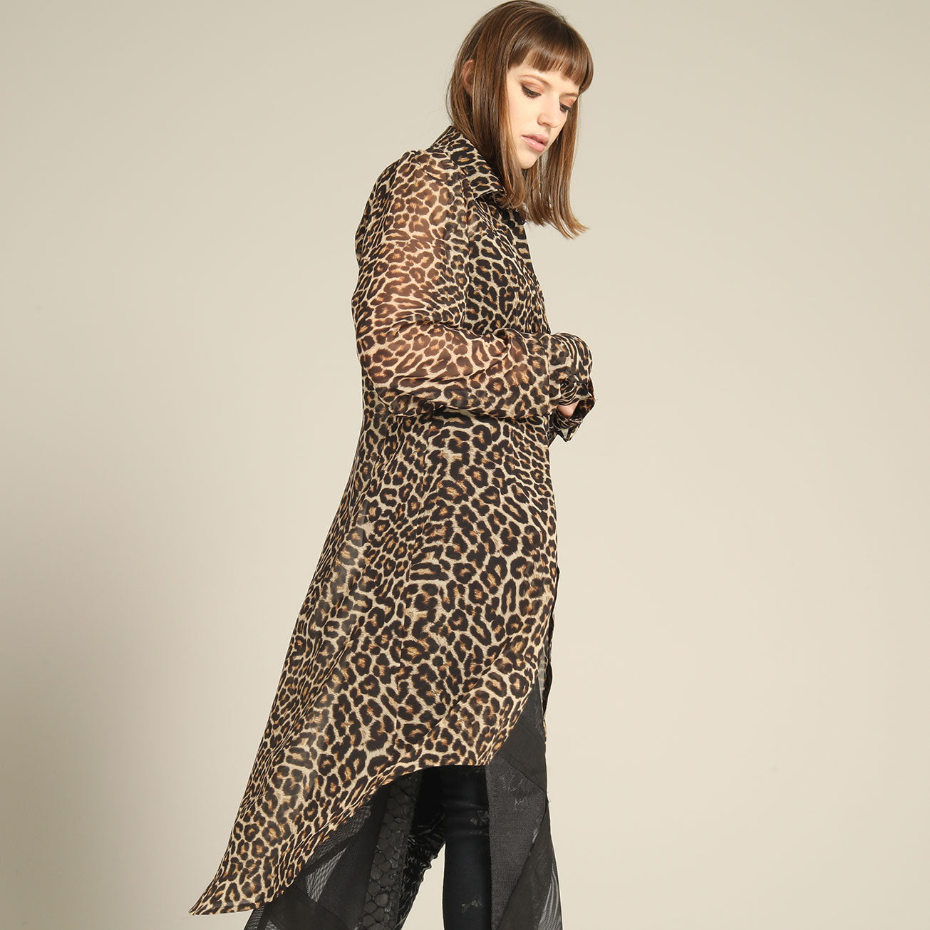 Leopard Long Dress Blouse